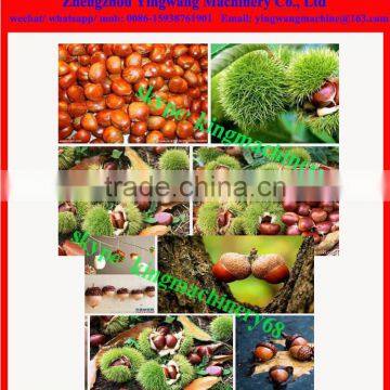 Chestnut Thresher Machine