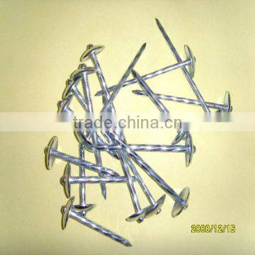 roofing nails with umbrella factory/nails factory ( factory price )