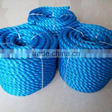 Blue Color 3 Strands Twisted Polypropylene Raffia Rope photo-3