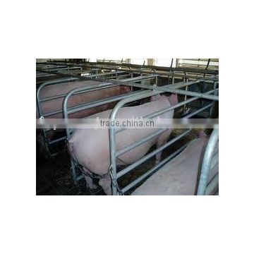 farrowing stall