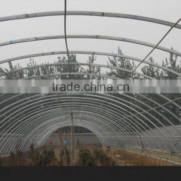 Multi Span Mushroom Greenhouse for Agriculture photo-2