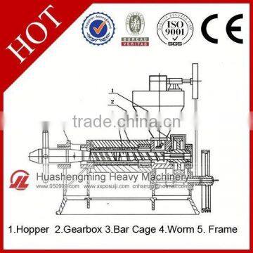 CE Approved Cheap Price Automatic Walnut Screw Oil Press photo-5