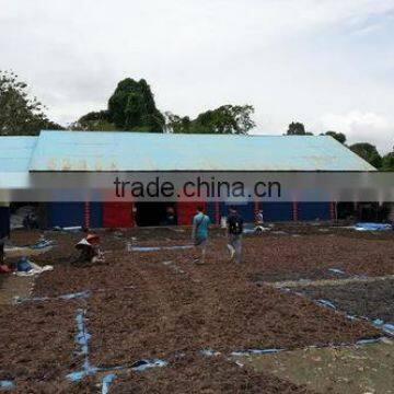 Sell Gracilaria, Eucheuma Spinosum And Eucheuma Cottoni Seaweeds