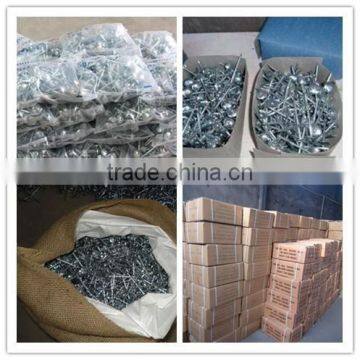 Galvanized Corrugated Roofing Nails From Guangzhou Supplier photo-3