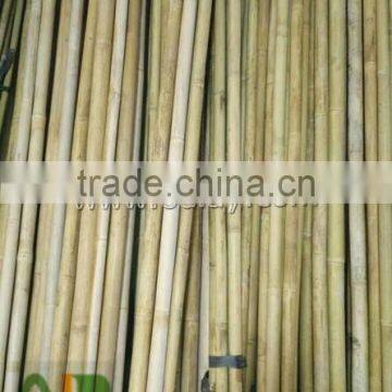 Different Sizes Tonkin Bamboo Stakes/poles/canes for Agriculture photo-5