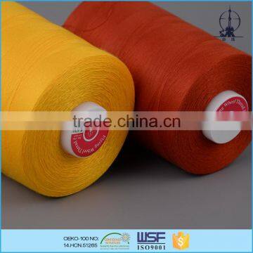 Wholesale 60s/2 100% Polyester Dyed Embroidery Thread for Leather Shoes photo-3