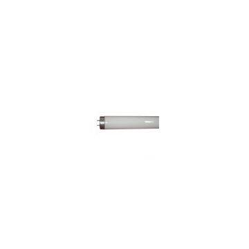 Double Capped Fluorescent Lamp Tube with Starter (T12)