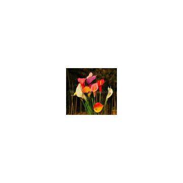 Artificial Flowers PU Calla Lily photo-2