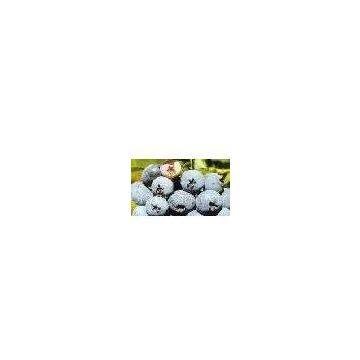Bilberry Extract