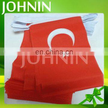 Wholesale Indoor/outdoor decorative custom polyester Turkey bunting flag