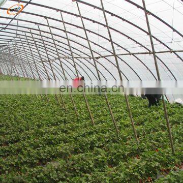 China factory supply cherry cover woven fabric film /200 micron clear plastic greenhouse film