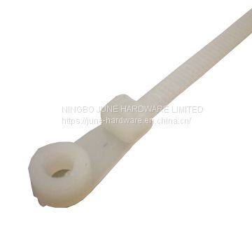 PA66 nylon cable tie