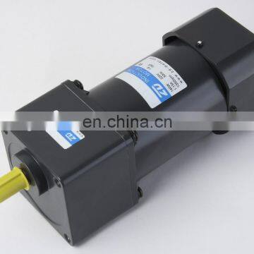 AC/DC gear motor