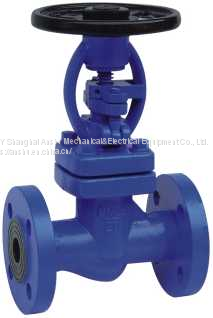 Bellows Globe valve