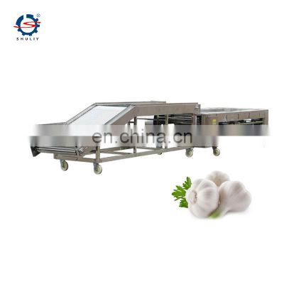 Commercial Longan Citrus Fruit Size Sorting Machine Potato Garlic Grading Machine