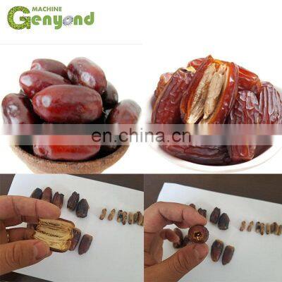 Dates Pit Remove Machine Jujube Seed Removing Machine photo-4