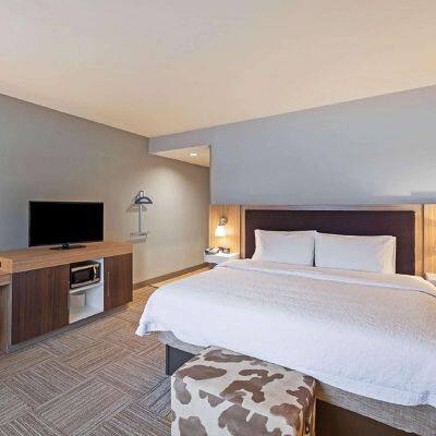 Wallbed Folding Horizontal Hidden Wall Bed Bedroom Furniture Modern Storage Bed OEM/ODM WT-B02 Factory Direct Murphy Queen Size photo-4