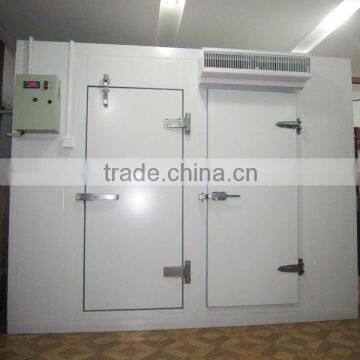 China hinged door for cold room,hinged door manufacture