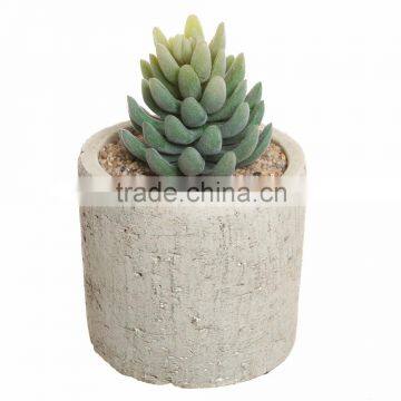 Small Modern Rustic Weathered Decorative Succulent Planter Windows Patio Flower Plant Pot