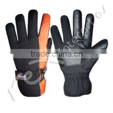 Ski Gloves