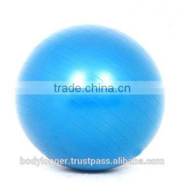 Gym Ball Swiss Ball/ Gym Equipment/ Rack