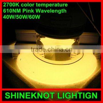 2700K Induction lamp grow light