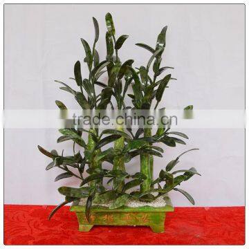 Middle Size Jade bamboo Tree, money tree