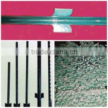 Metal Fence T Posts Supplier