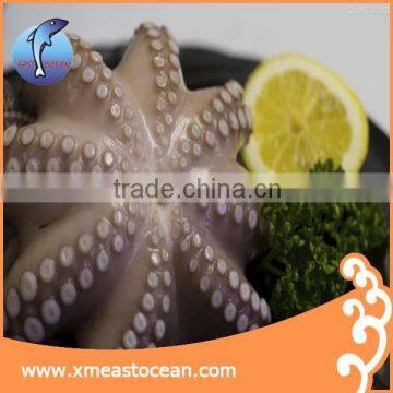 frozen seafood raw octopus