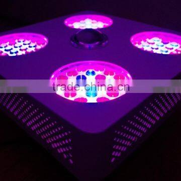Creex CXA 3070 COB 400w LED Grow Light photo-6