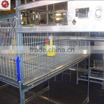 Henan Silver Star factory supply h type chicken cage for poultry broiler chicken