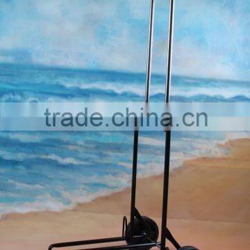 Remote Control Golf Cart