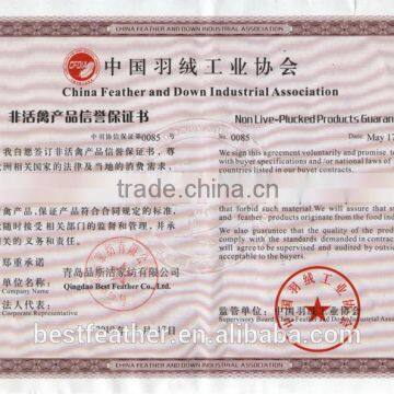 Duck Feather Cushion photo-6