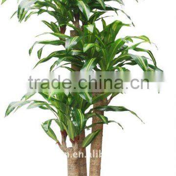 Artificial Dracaena fragrans trees