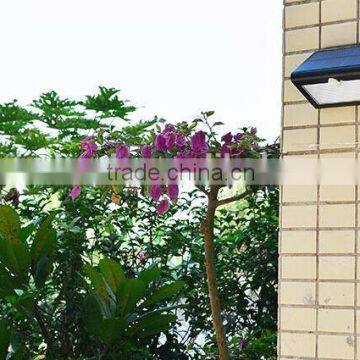IP65 Super Bright Solar Motion Sensor Light Solar Wall Lights Solar Fence Lights photo-5