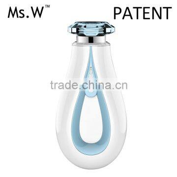 Fashionable Design Hot Sell Portable Mini Water Mist Hair Steamer Rechargeable