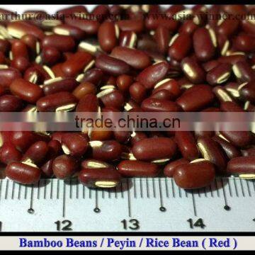 Rice Bean [ Red ]