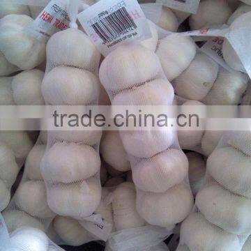 2016 Natural Red Garlic With Competitive Price photo-2