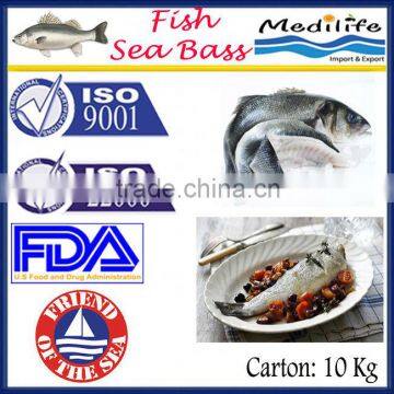 High Quality Fish Sea Bass,Fresh sea bass, Tunisian Farm Fish Sea Bass,Tunisian Fish, 10 Kg