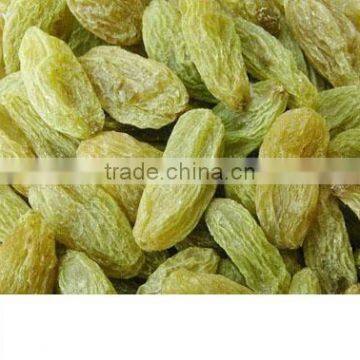 green seedless raisin snack fruit