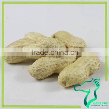 Peanuts In Shell 11/13 Size