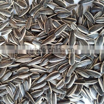 2016 new crop sunflower seeds long shape big size 24/64 hot sale