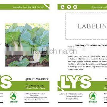 CC06 Black Rose Heat Resistant f1 Hybrid Pakchoi Seeds, Chinese Cabbage Seeds photo-2