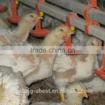 automatic chicken nipple drinker for poultry house equipment