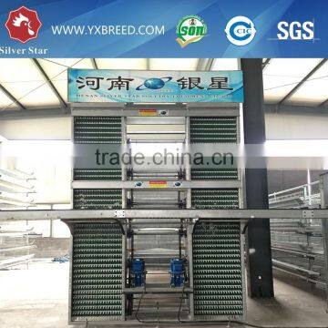 African Hen Farming Cages with automatic manure/feeder system