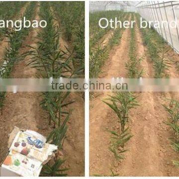 Bio Liquid Fertilizer For Soil Rebuilding photo-5