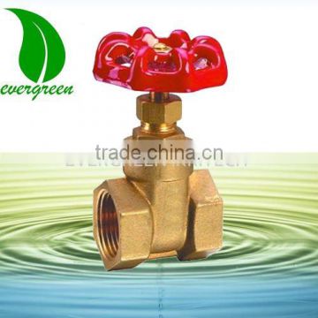 Brass General Industry Gate Valve