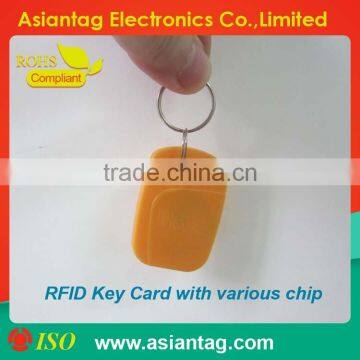 Access Control Keyfob RFID Tag
