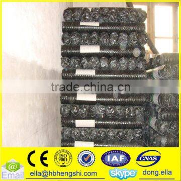 hexagonal wire netting factory price /electro galvanized hexagonal wire mesh