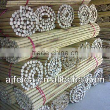 agriculture bamboo stake